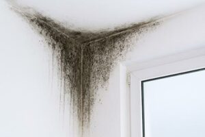 traitement humidité Montmélian