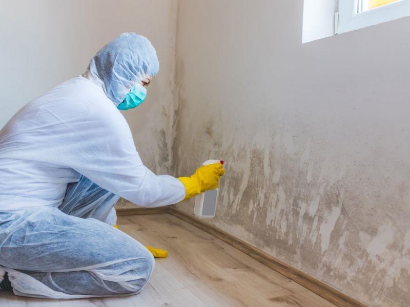 traitement humidité Montmélian